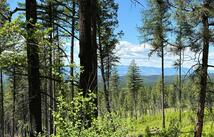 8025 Therriault Pass Road, Eureka