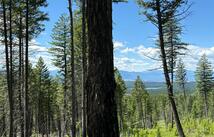 8025 Therriault Pass Road, Eureka