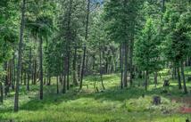 865 Lone Osprey Ridge, Somers
