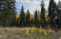 Nhn Meadow Creek Road, Fortine