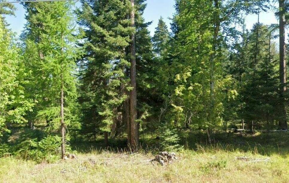595 Wapiti Lane, Bigfork