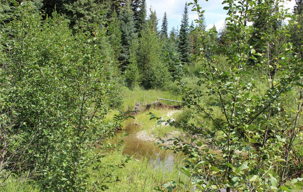 3380 Swamp Creek Road, Trego
