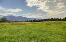 41906 Farmstead Way, Ronan