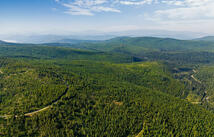 Griffin Creek Road, Marion