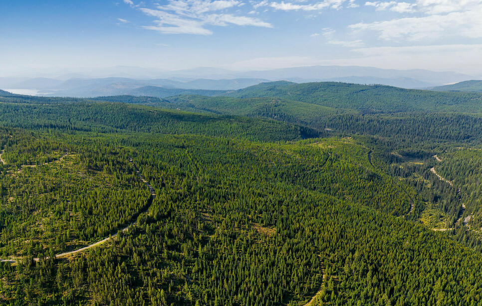 Griffin Creek Road, Marion