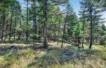 Lot 3 Forest Ridge Road, Fortine