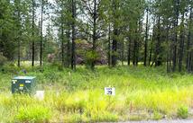 468 Haskill Ranch Road Lot-29 (5-acres), Kila