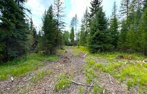 468 Haskill Ranch Road Lot-29 (5-acres), Kila