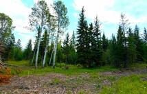 468 Haskill Ranch Road Lot-29 (5-acres), Kila