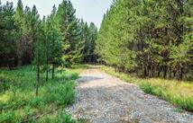 187 Osprey Way, Marion