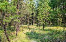187 Osprey Way, Marion