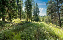 Fish Creek Road, Kalispell