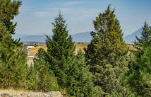 138 Ashley Hills Drive, Kalispell