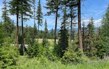 315 Rockridge Road, Whitefish