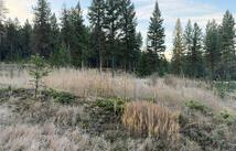 Nhn Glen Lake Road, Eureka