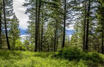 28 Doubletree Drive, Bigfork