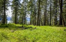 28 Doubletree Drive, Bigfork