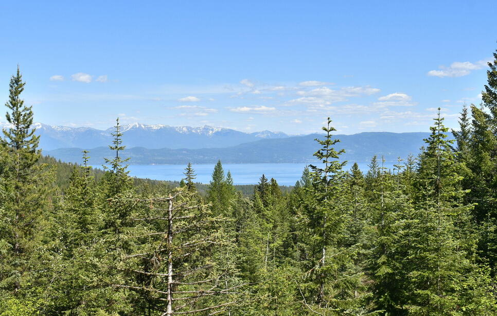 1520 Bierney Creek Road, Lakeside