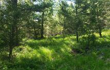 Copper Road, Kalispell