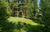 Copper Road, Kalispell