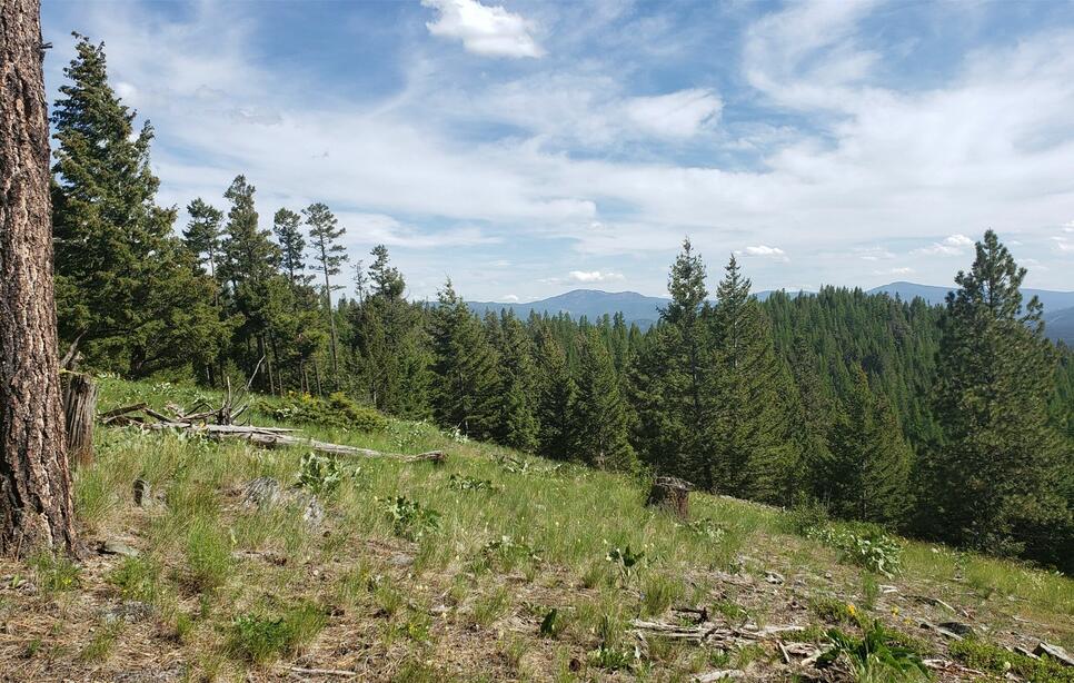 Copper Road, Kalispell