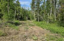 277 Seville Lane, Coram