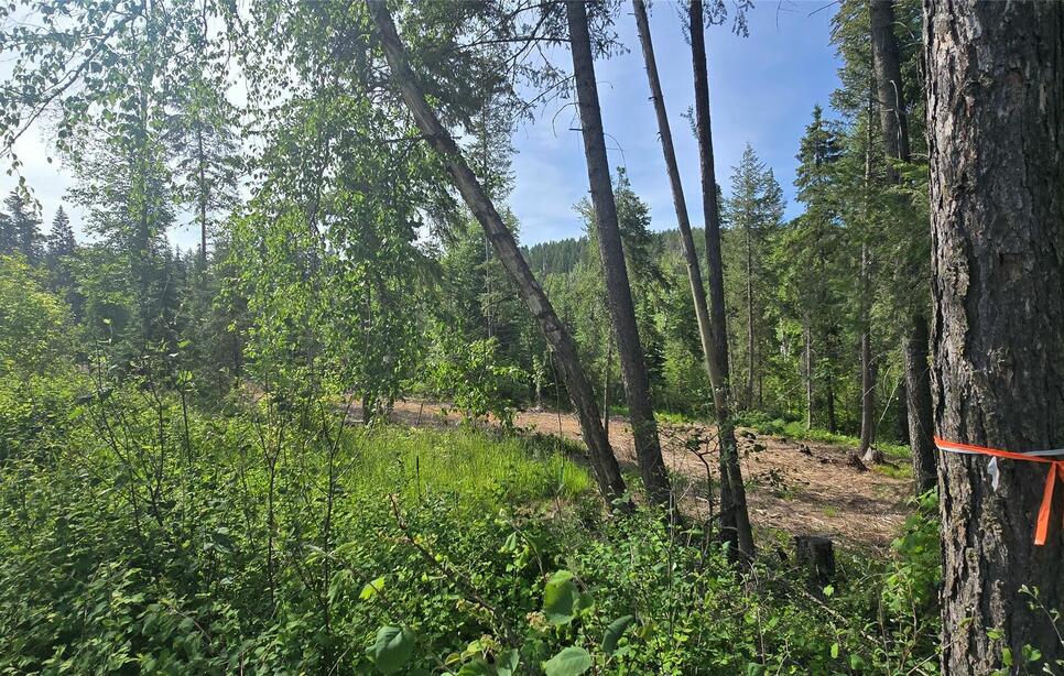 277 Seville Lane, Coram