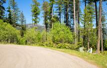 213 Ridge Run Court, Whitefish