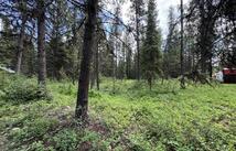 768 Deep Woods Trail, Polebridge