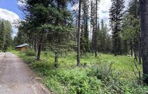 768 Deep Woods Trail, Polebridge