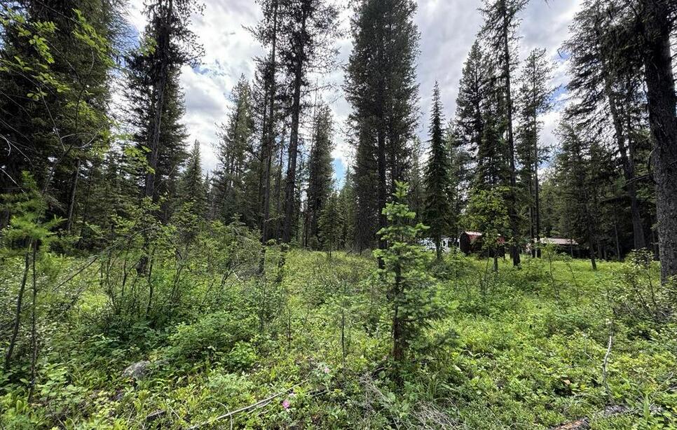 768 Deep Woods Trail, Polebridge