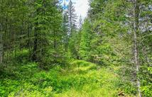 11315 Us Highway 2 E, West Glacier