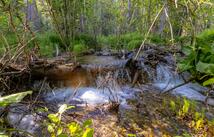 Nhn Trumble Canyon Road, Columbia Falls