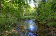 Nhn Trumble Canyon Road, Columbia Falls