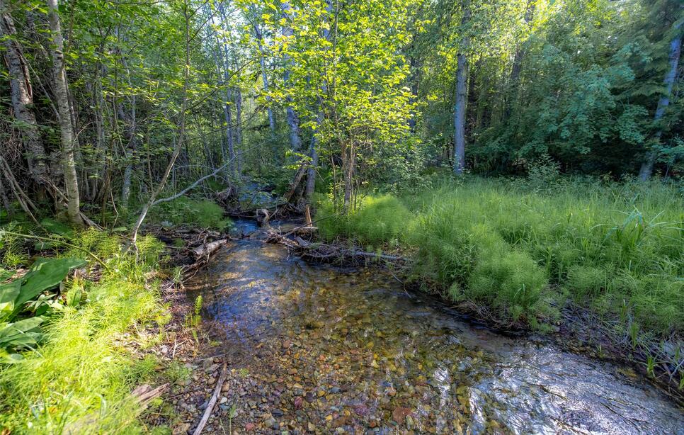 Nhn Trumble Canyon Road, Columbia Falls
