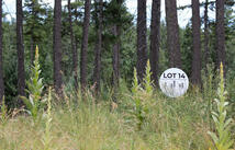 185 Rosewood Lane, Whitefish