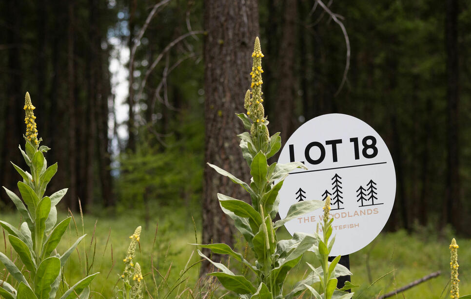 142 Rosewood Lane, Whitefish