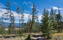 Whitetail Lane, Plains