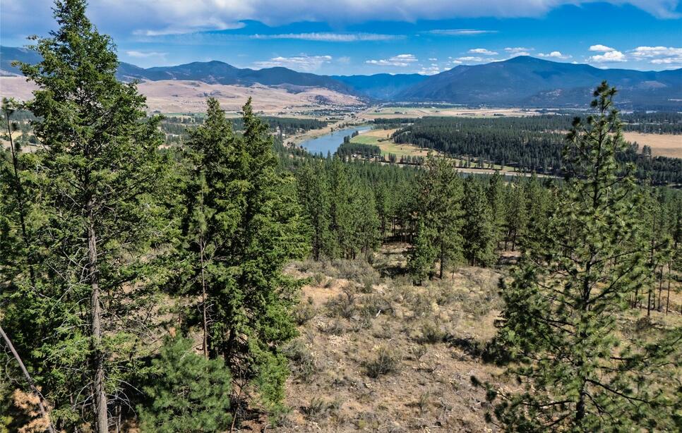 Whitetail Lane, Plains