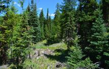 Nhn Logan Creek Road, Whitefish