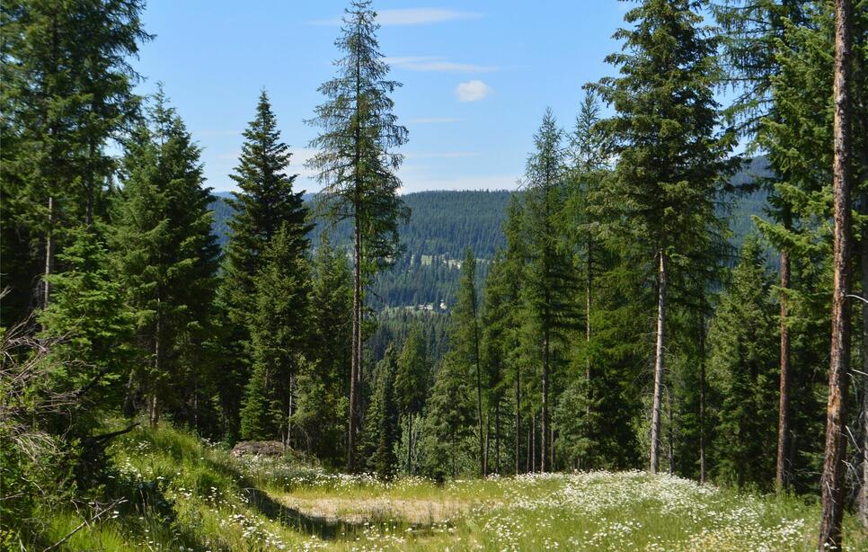Nhn Logan Creek Road, Whitefish