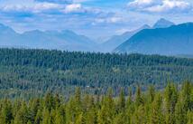 386 Glacier Hills Drive W, Martin City