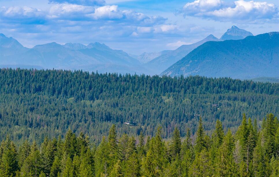 386 Glacier Hills Drive W, Martin City