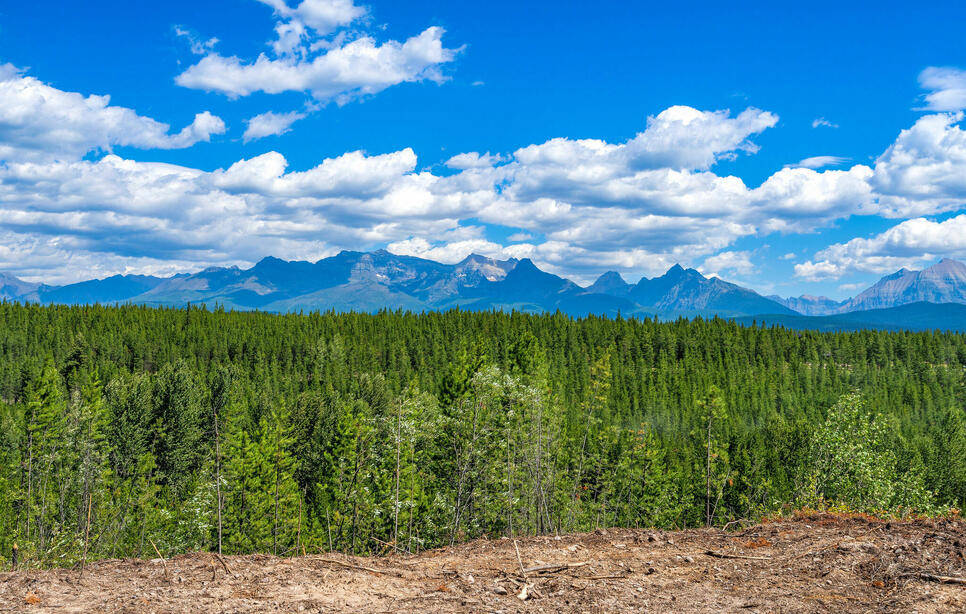 11680 North Fork Road, Polebridge