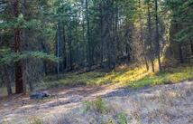 40961 Us Hwy 93, Polson