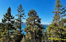 30373 Coneflower Lane, Polson