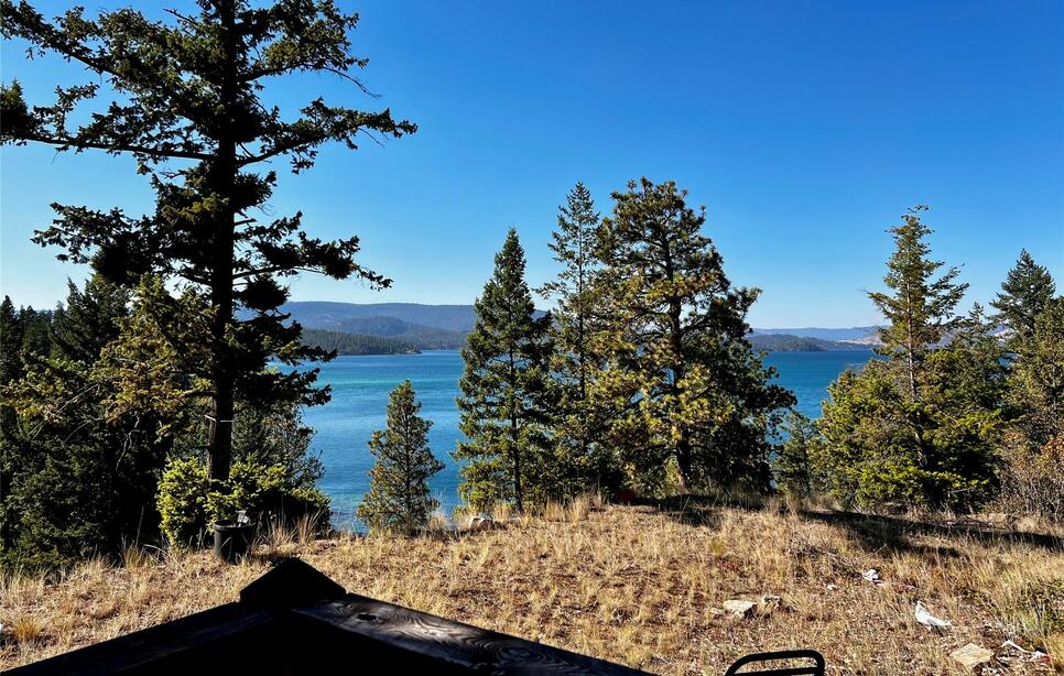 30373 Coneflower Lane, Polson