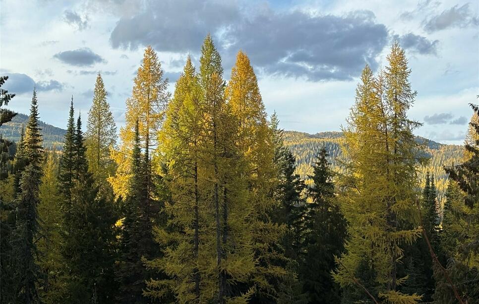 1089 Cedar Hills Road, Trego