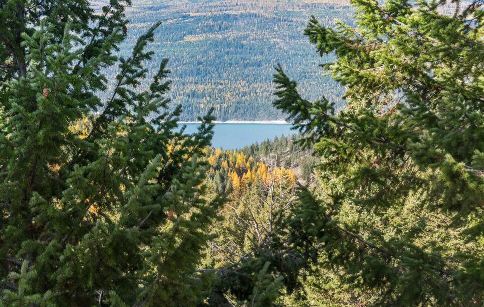 Nhn Paradise Ridge Road, Rexford