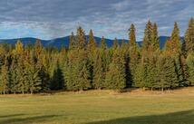 340 Tamarack Creek Road, Whitefish